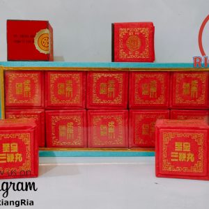 Tzepao Sanpien Pills / Tze Pao San Pien (1 PILL) Ginjal, Stamina Pria