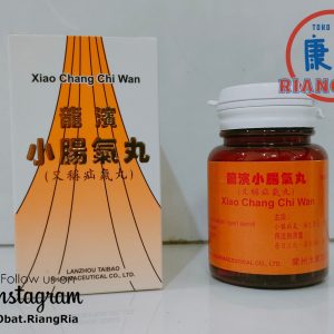 Dragonrear Xiao Chang Qi Wan (100 Pil) BPOM – Obat Hernia, Turun Berok