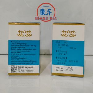 TANSAPIL 100 PIL DU HUO JI SHENG WAN NYERI LUTUT SENDI PINGGANG