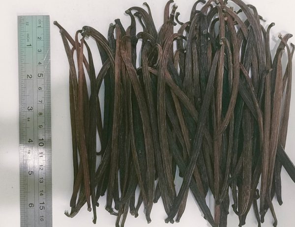 Vanilla Beans