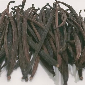 Vanilla Beans Buah 10GR Grade A Gourmet – Kualitas Terbaik dan Termurah Tanaman Vanili