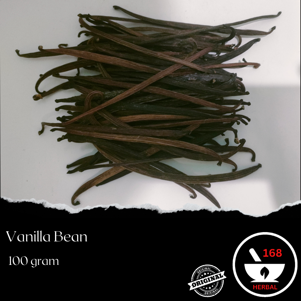 Vanilla Beans Buah 100GR Grade A Gourmet – Kualitas Terbaik dan Termurah Tanaman Vanili