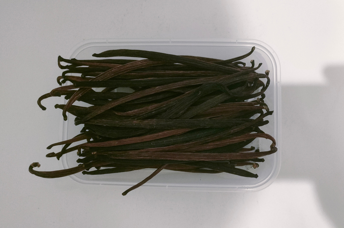 Vanilla Beans Buah 100GR Grade A Gourmet – Kualitas Terbaik dan Termurah Tanaman Vanili